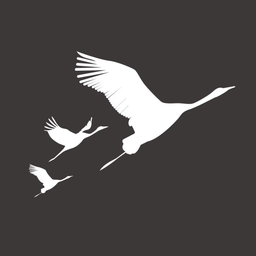 Проекция в виде белых летящих журавлей появилась на фасаде «Крокуса»в память о жертвах кровавого теракта